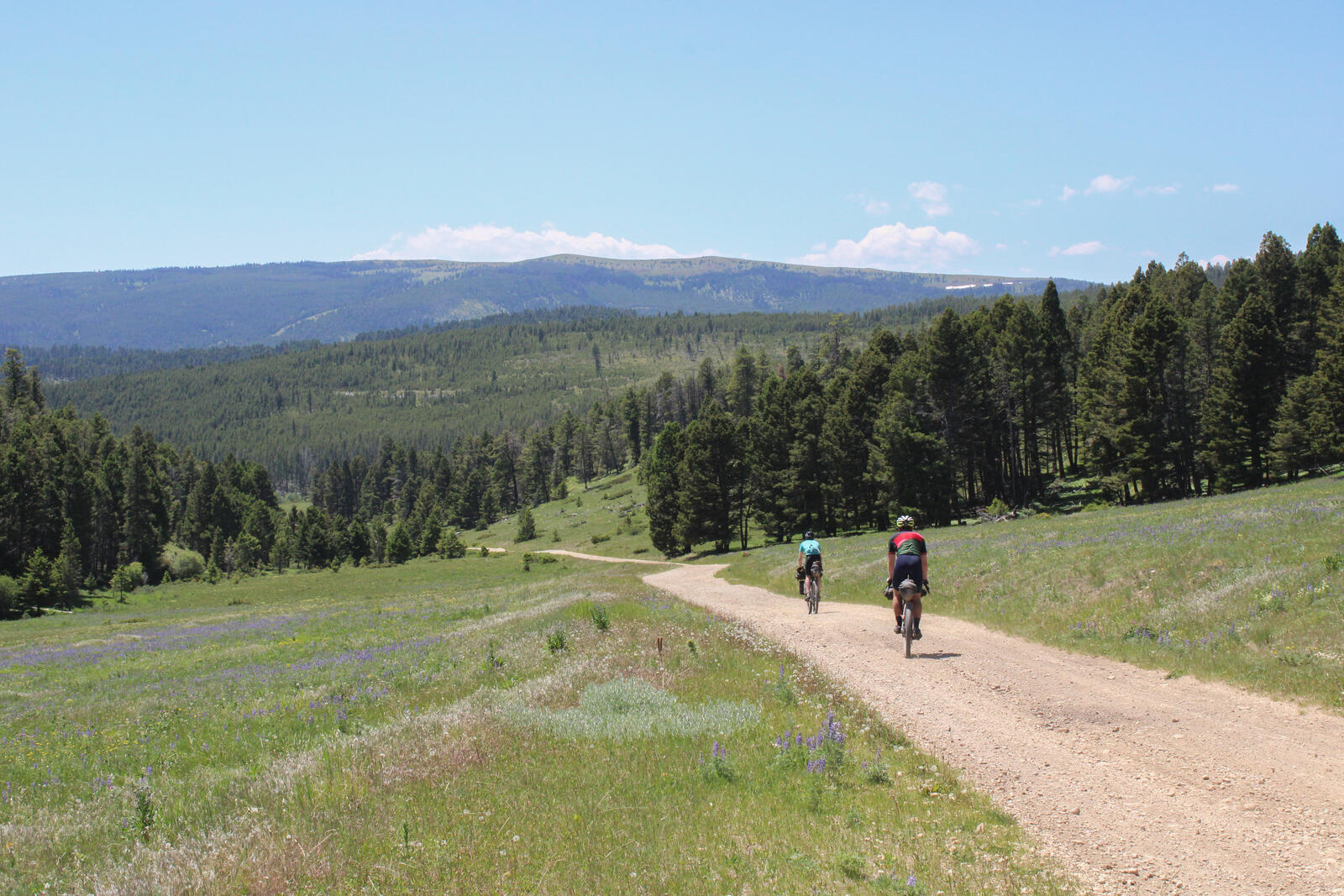 2025-Tour-Divide-077