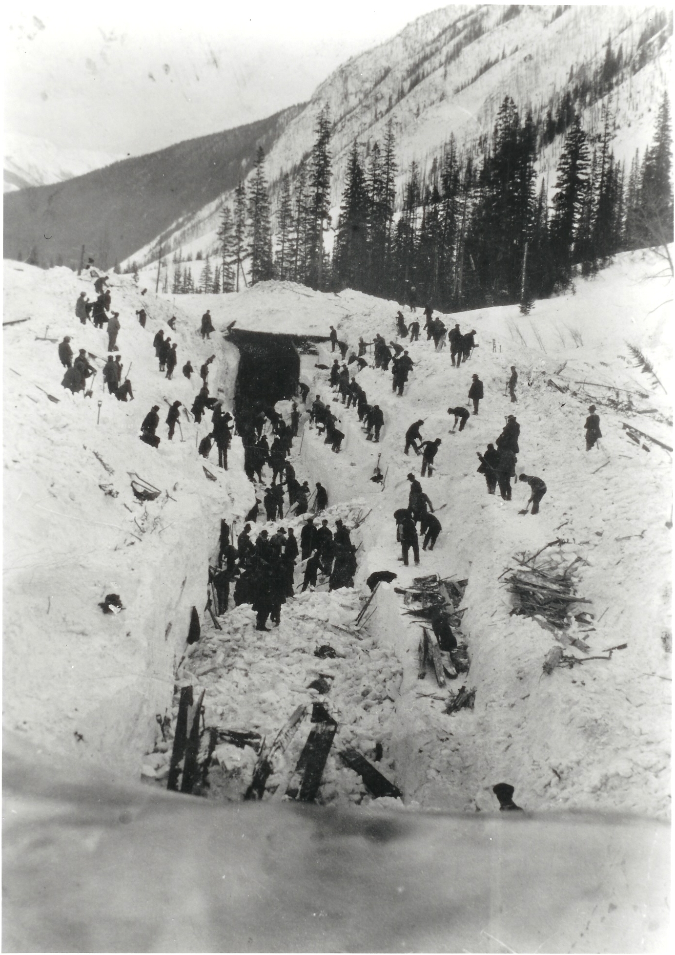 Rogers_Pass_avalanche_disaster.jpg